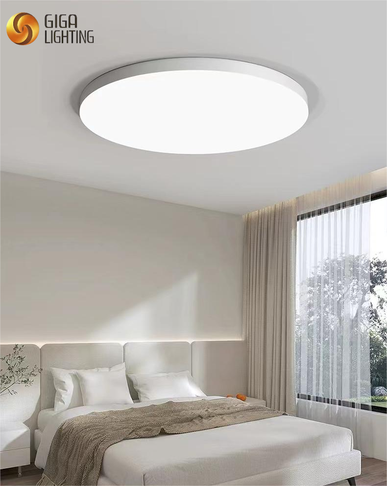 IP40 LED Luz de teto regulável Lâmpada redonda ultrafina para varanda Luz do quarto Luz do corredor